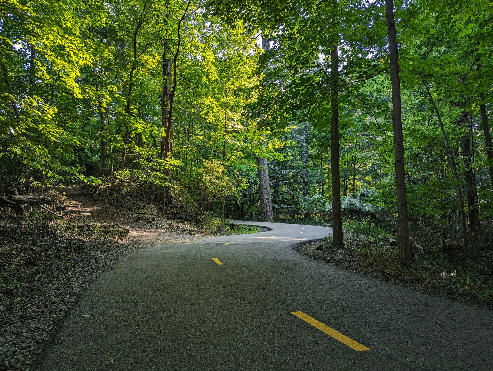 Peaceful paved pathway through lush green forest in Lansing, Michigan.