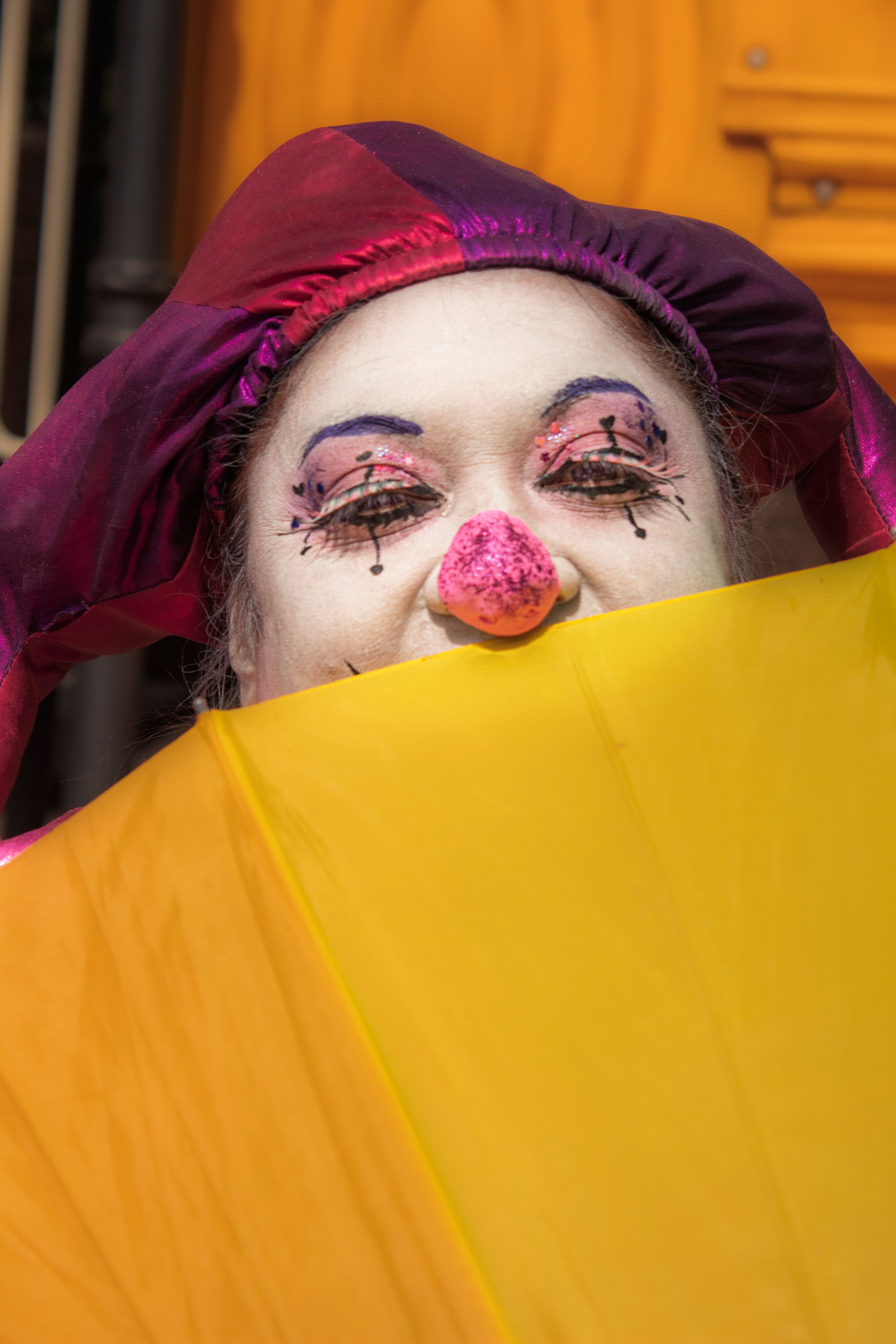 Vibrant Clown Portrait with Colorful Costume · Free Stock Photo