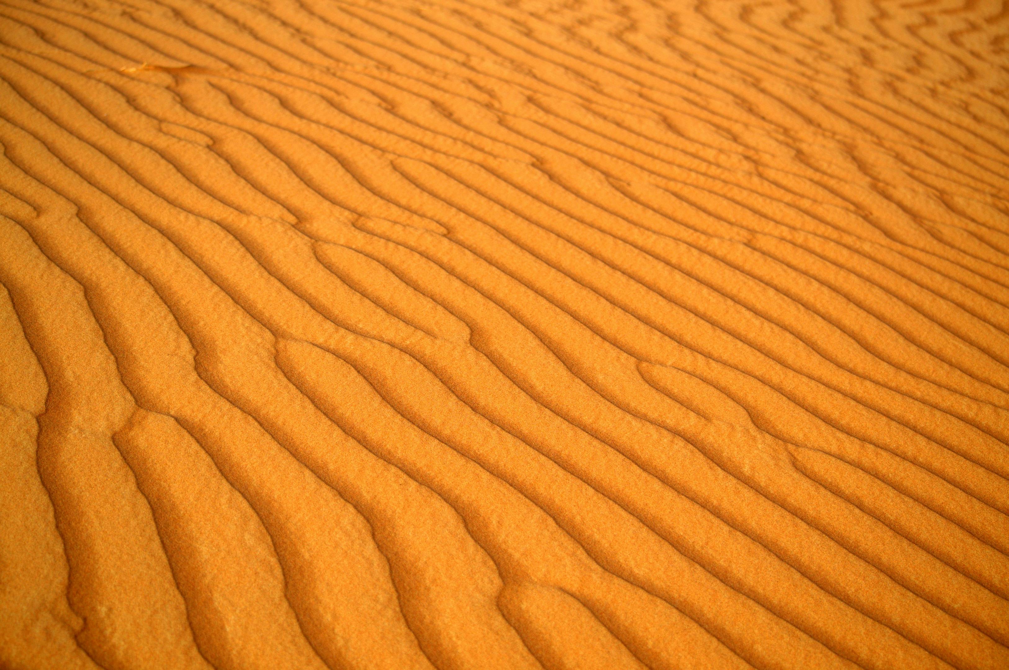 grátis Vista aproximada das dunas de areia onduladas em Al Madam, Emirados Árabes Unidos, exibindo texturas e padrões naturais. Foto profissional