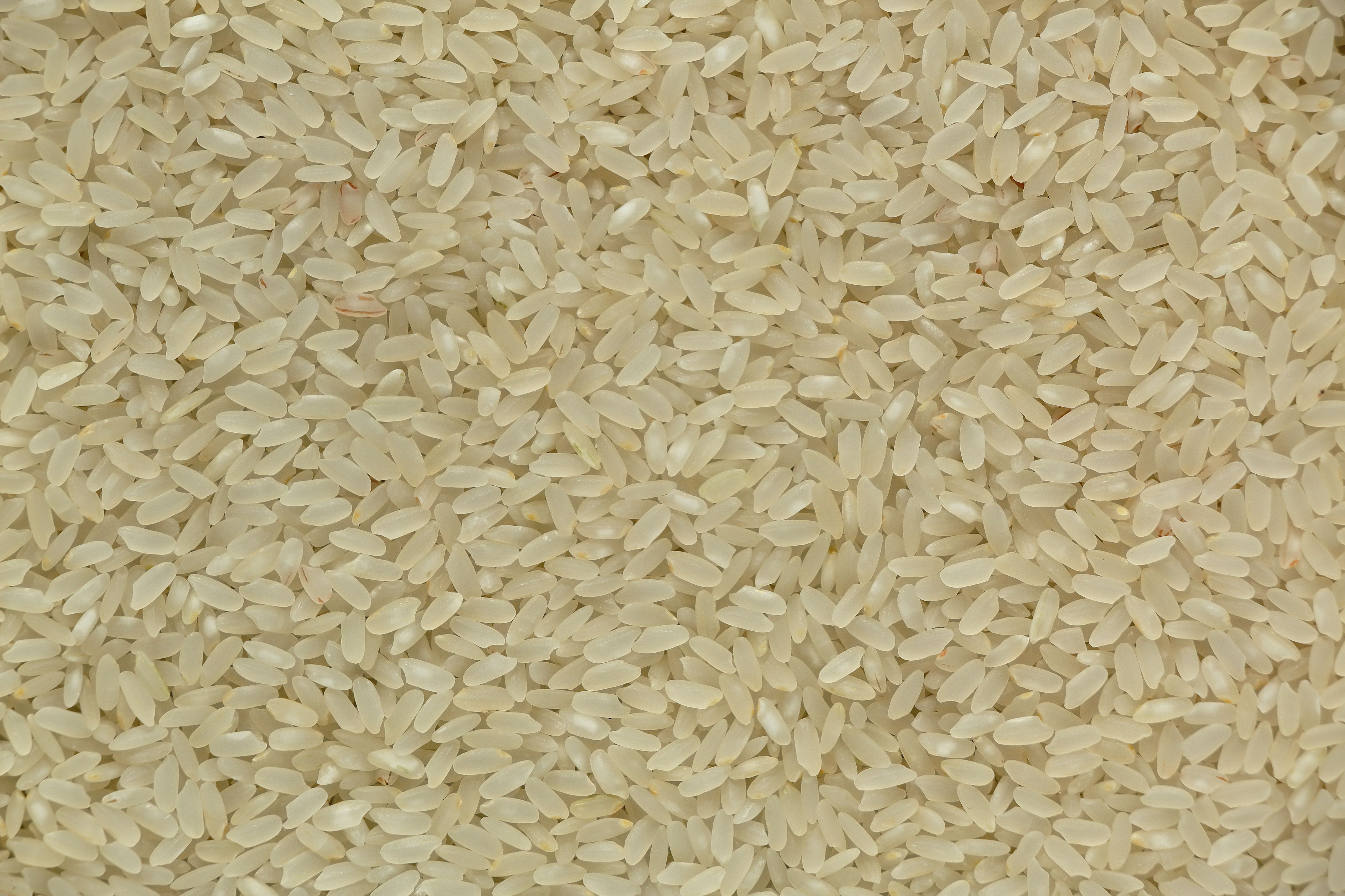 Close-up of Raw White Rice Grains Texture · Free Stock Photo