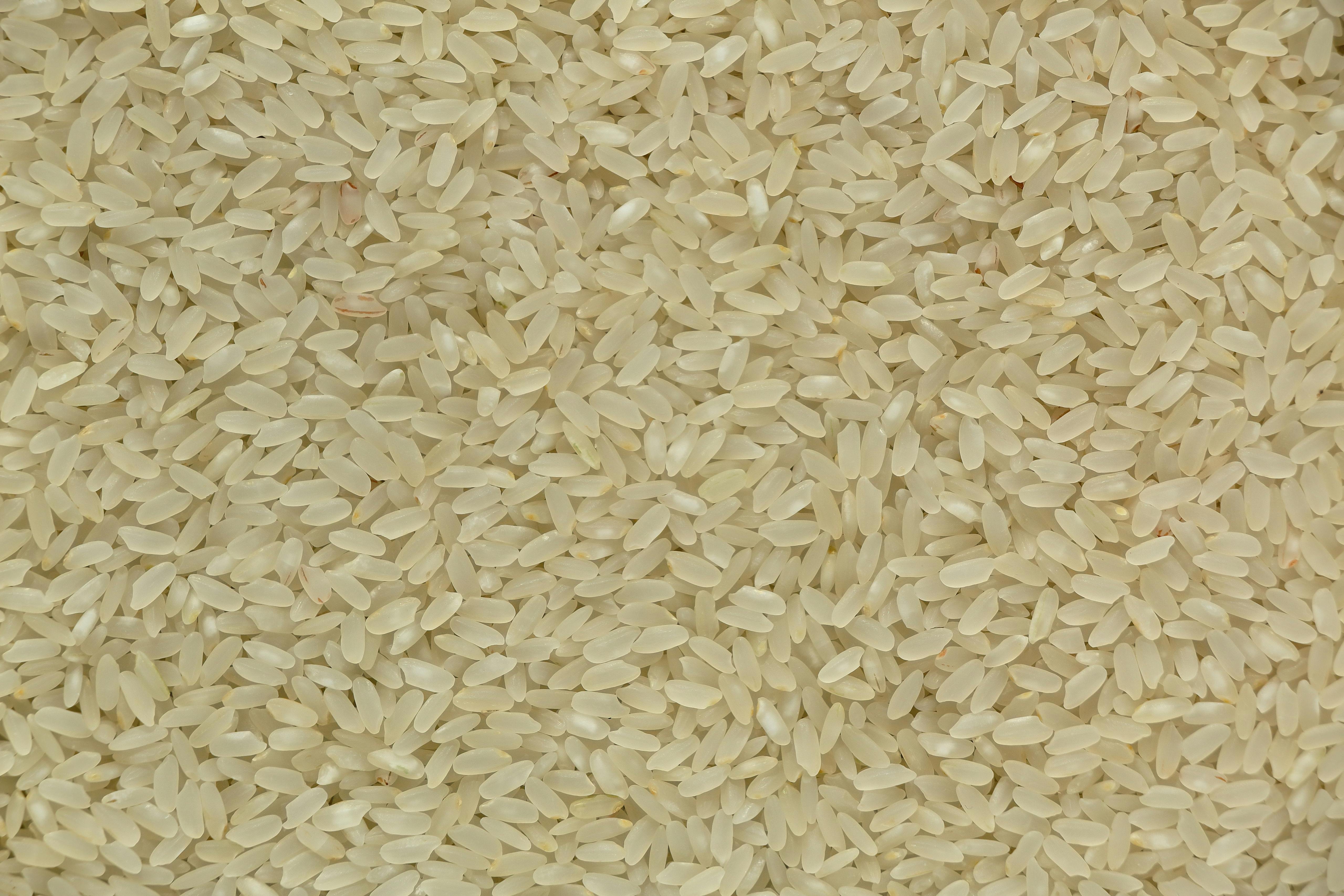 Zadarmo Detailný záber na surové biele ryžové zrná, zobrazujúci ich textúru a prirodzenú farbu. Fotka z fotobanky