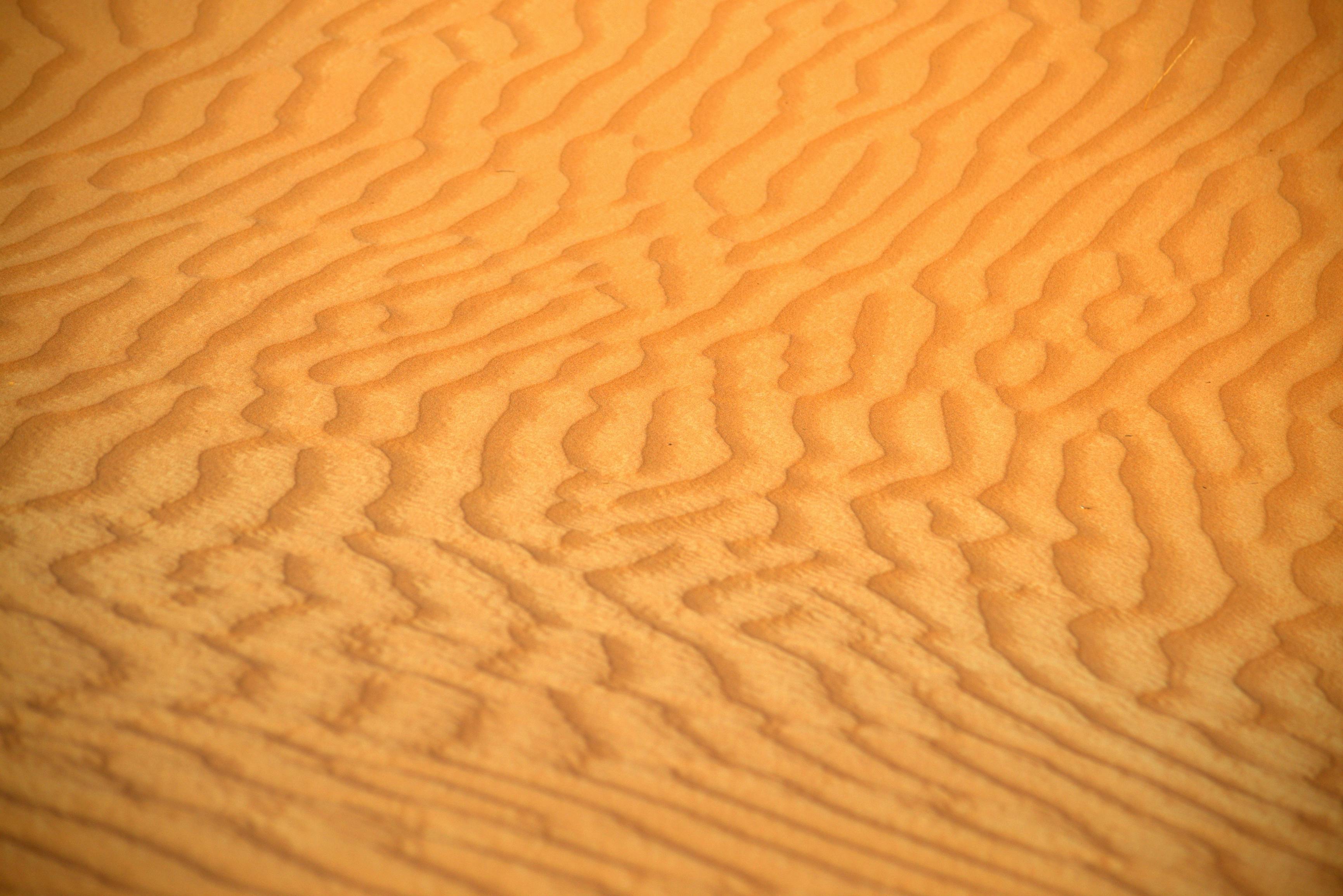bezplatná Klidný pouštní písek s přírodními vlnkami v Al Madam, Spojené arabské emiráty. Základová fotografie