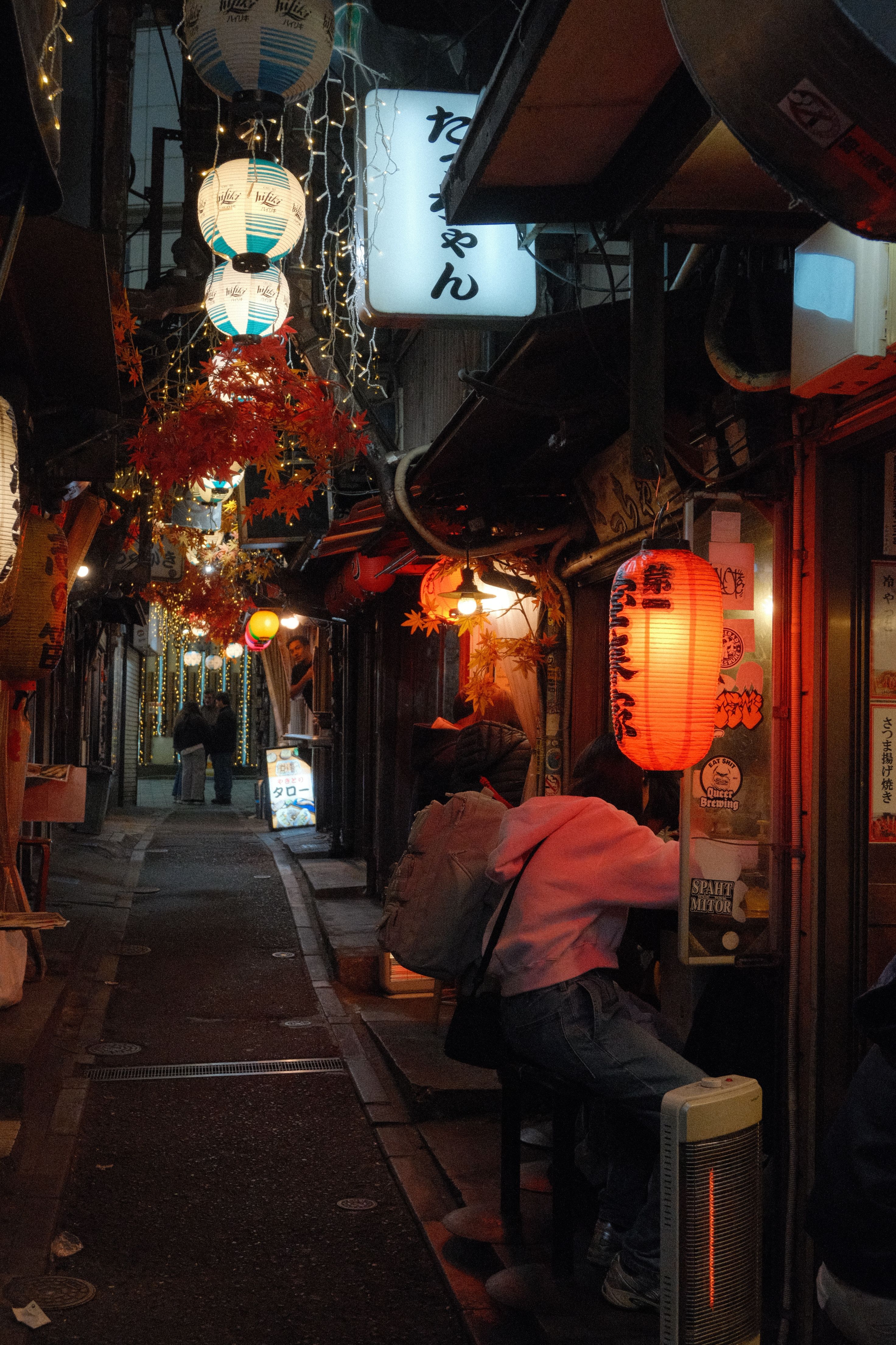 Night Stroll in Omoide Yokocho, Shinjuku, Tokyo · Free Stock Photo