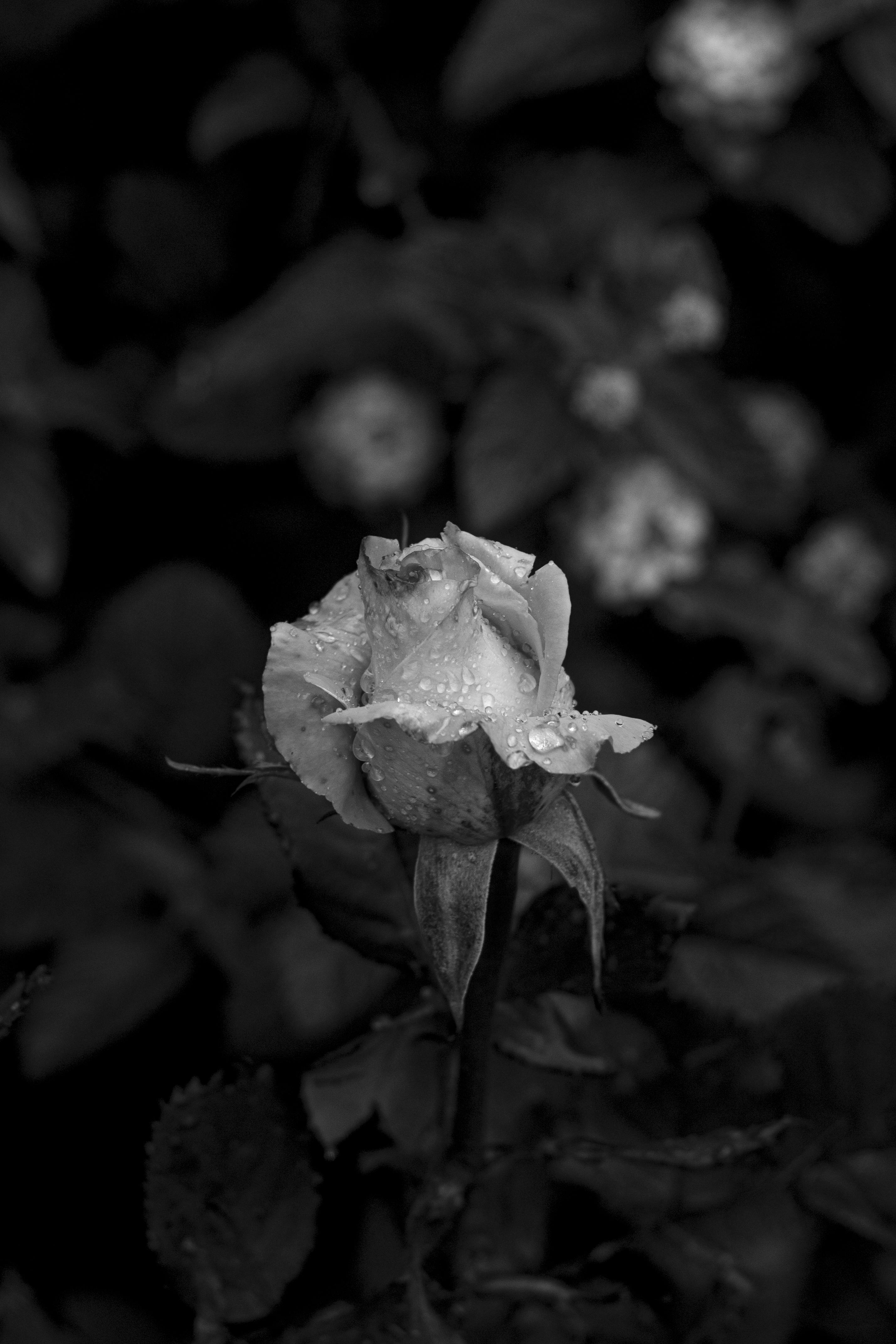 21 Reddit Marketing Tricks 2.0