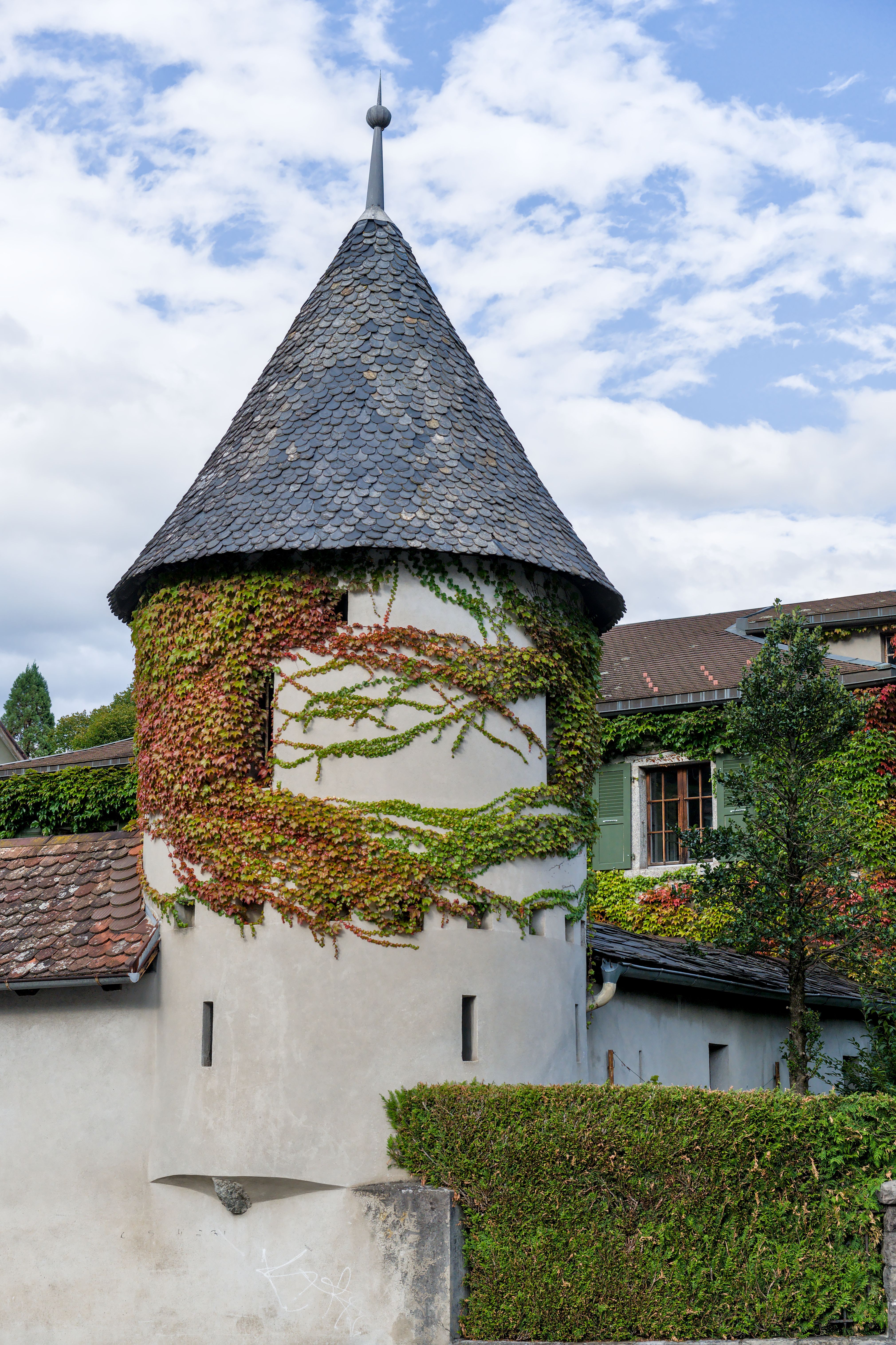 Picturesque ivy-covered tower in a Swiss village during a sunny day.