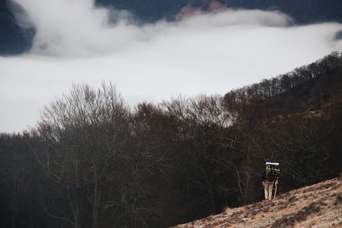 Back view of unrecognizable hiker in warm clothes with backpack walking down mountain slope near leafless trees and clouds covering peaks