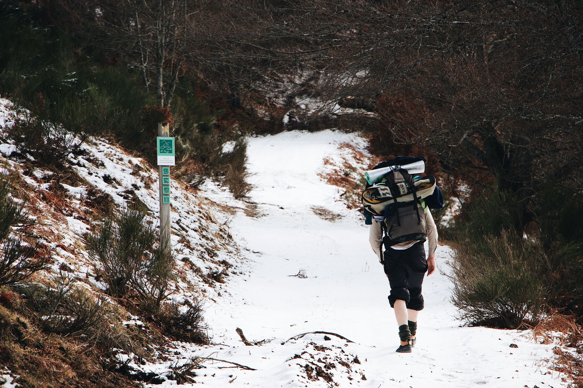 Man trekking through a snowy forest trail, embracing winter adventure and nature.