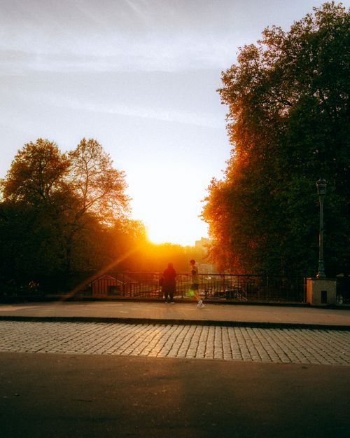 Free Serene sunset in an urban park highlights silhouettes of people against vibrant sky. Stock Photo