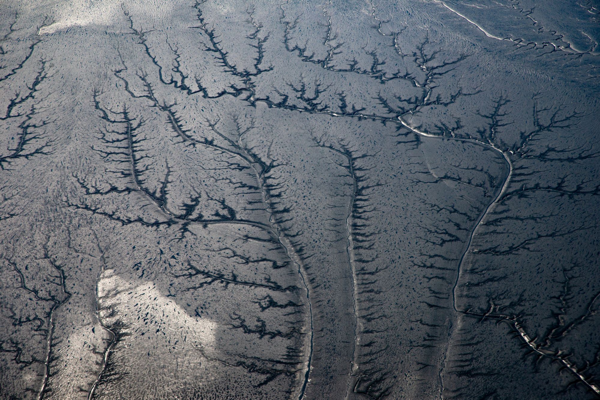 Aerial photograph showcasing intricate river patterns on a barren landscape, resembling natural fractal patterns.
