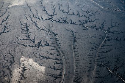 Aerial view of branching drainage channels on a tidal flat — photo by wal_ 172619 on Pexels