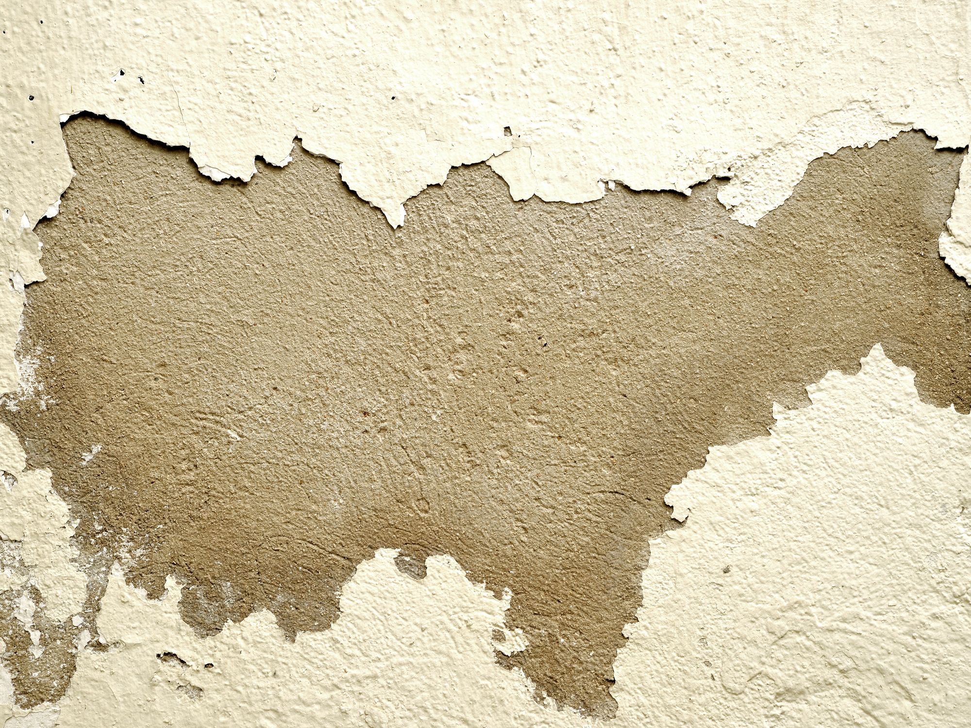 Interior Painting in Pentonville, Islington — decorator applying interior paint to walls and ceilings
