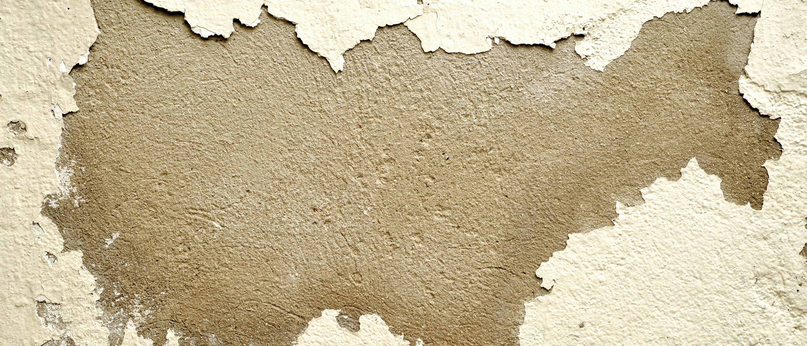 Painters and Decorators in West Hackney — walls rolled to an even, flat finish