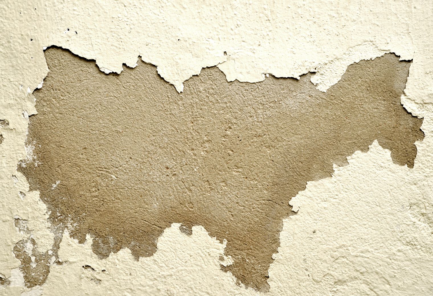 Painters and Decorators in New Eltham — quality trade paint going on in two coats