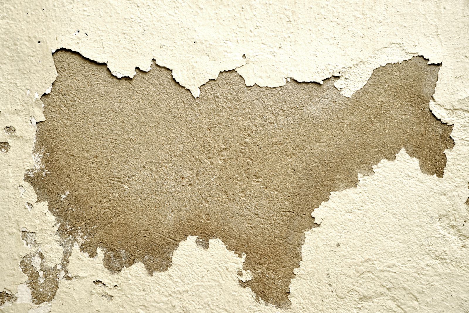 Water damaged wall with peeling paint