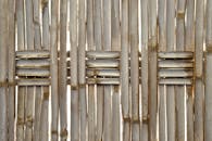Rustic Bamboo Fence with Sunlight Illumination