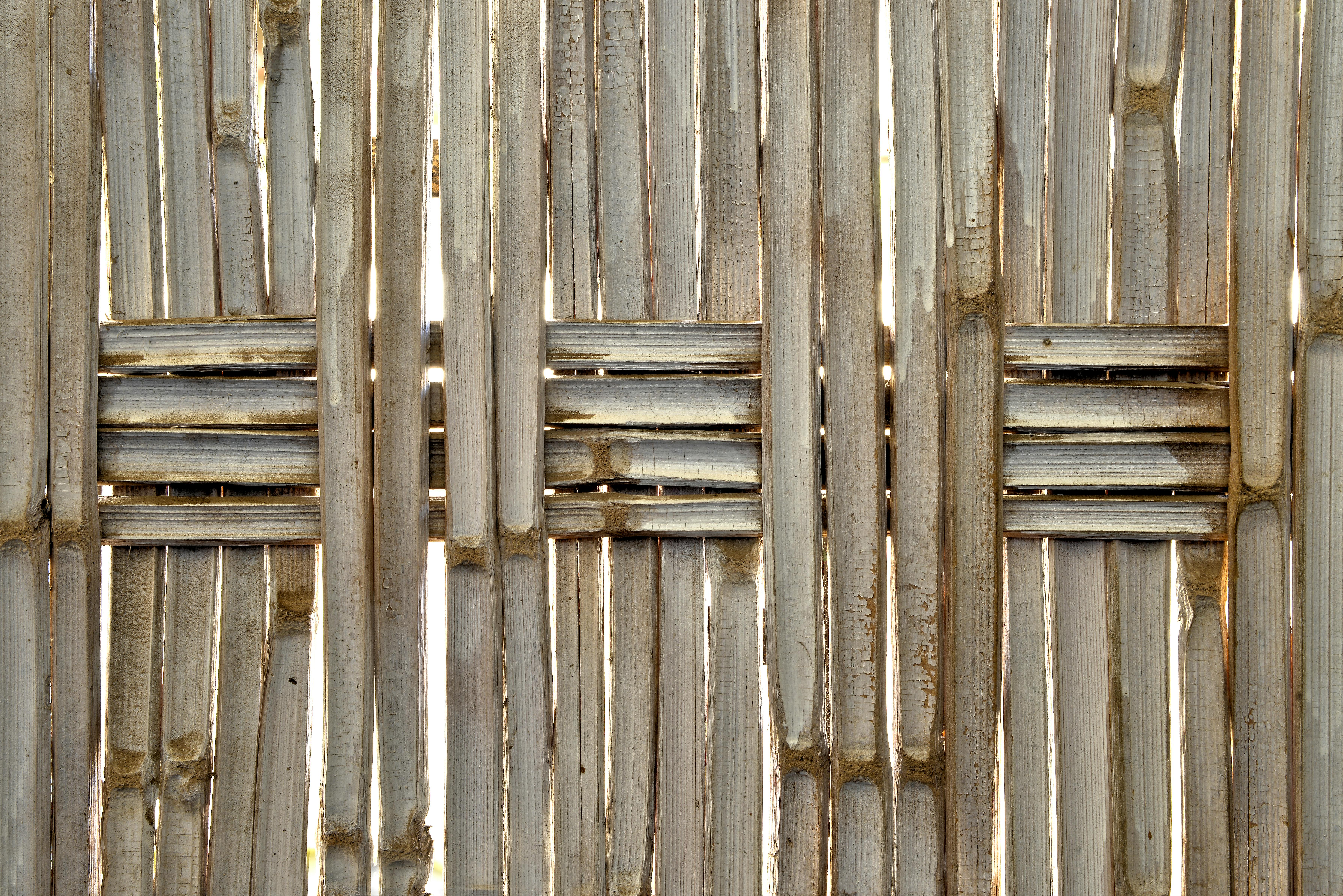 Miễn phí Cận cảnh hàng rào tre mộc mạc với ánh nắng xuyên qua tạo nên một họa tiết tự nhiên. Ảnh lưu trữ