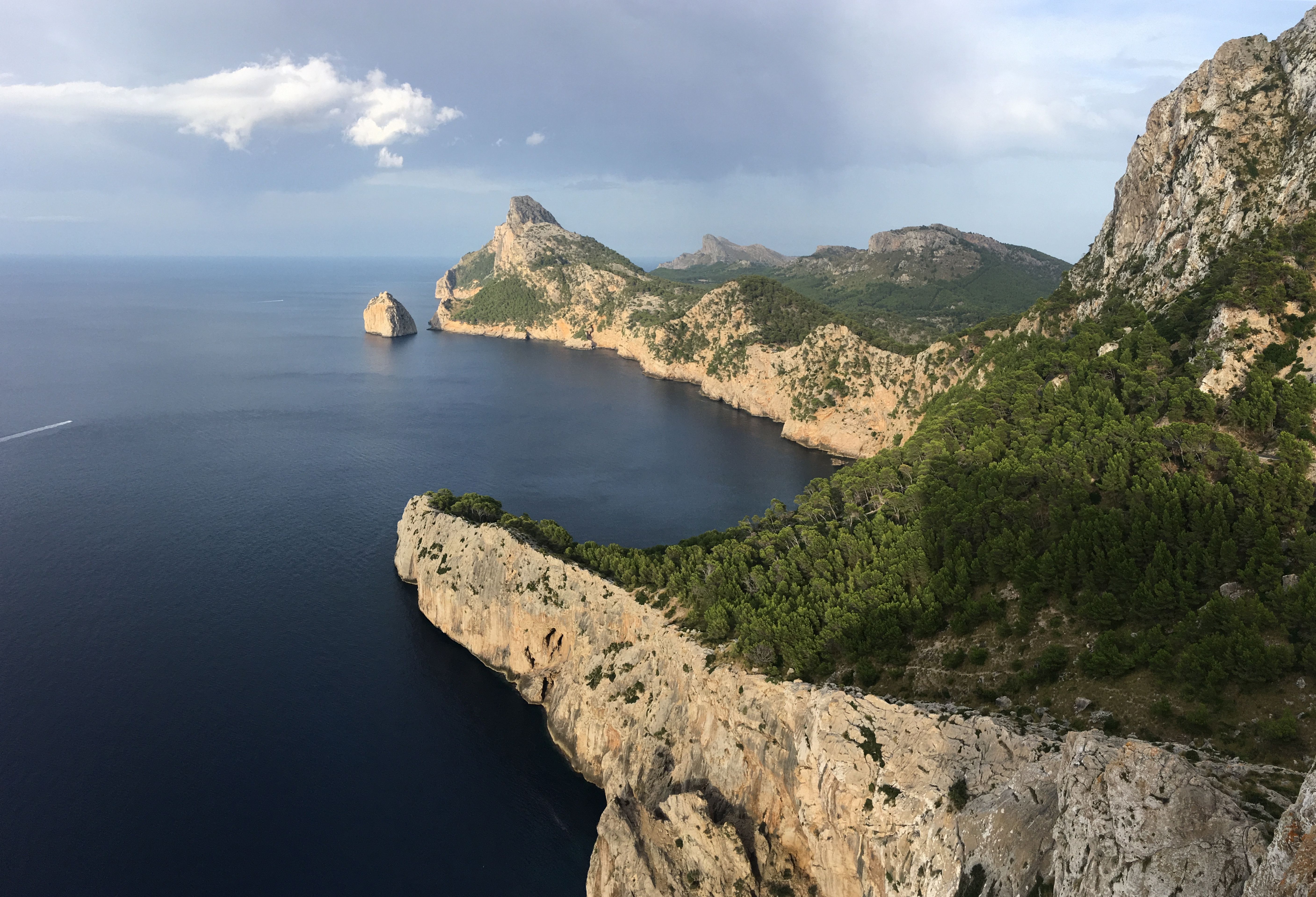 A breathtaking aerial view of Mallorca's rugged coastline with lush greenery and clear blue sea.