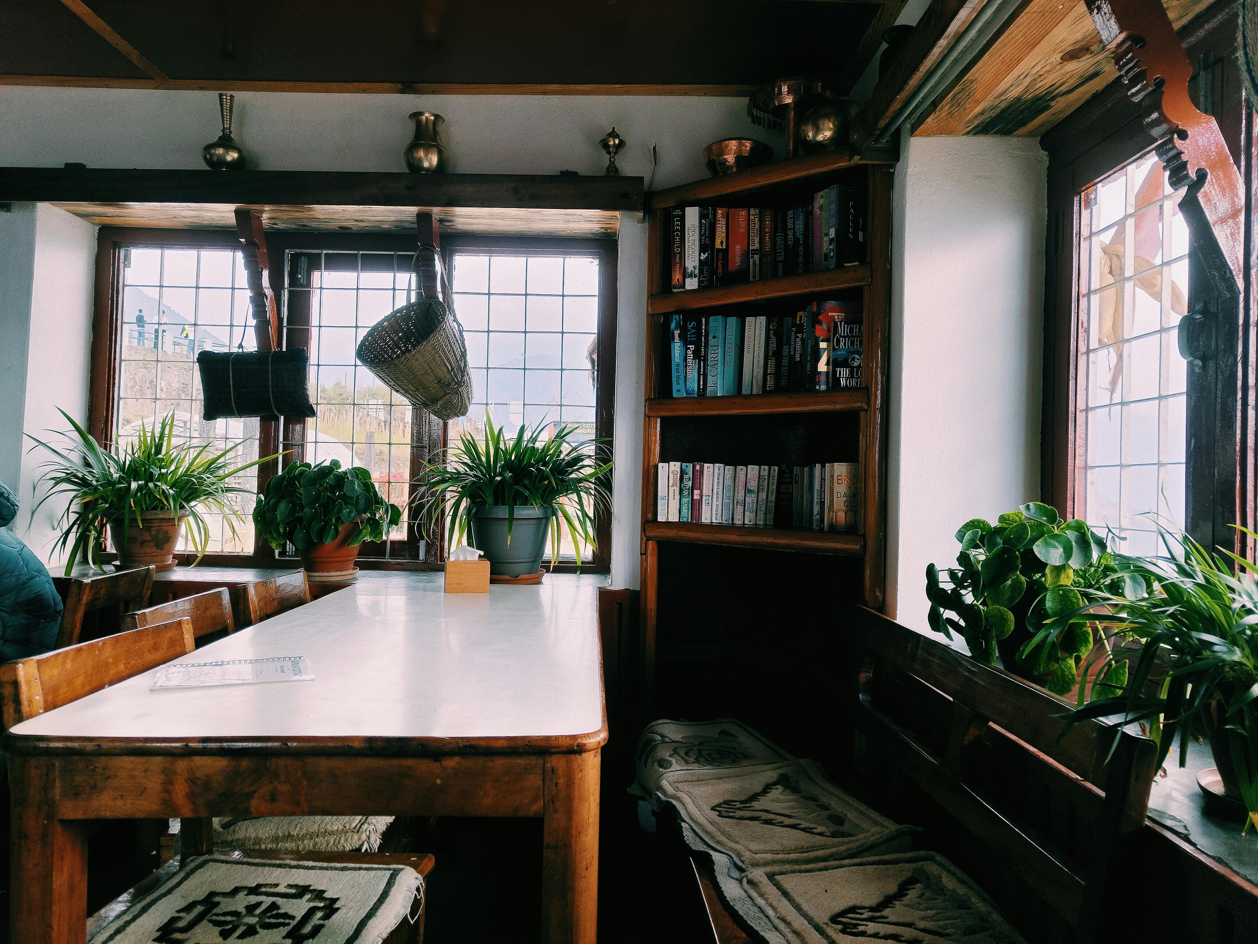 Bezpłatne Przytulny kącik do czytania z drewnianymi meblami, książkami i roślinami, skąpany w naturalnym świetle wpadającym przez duże okna. Zdjęcie z galerii