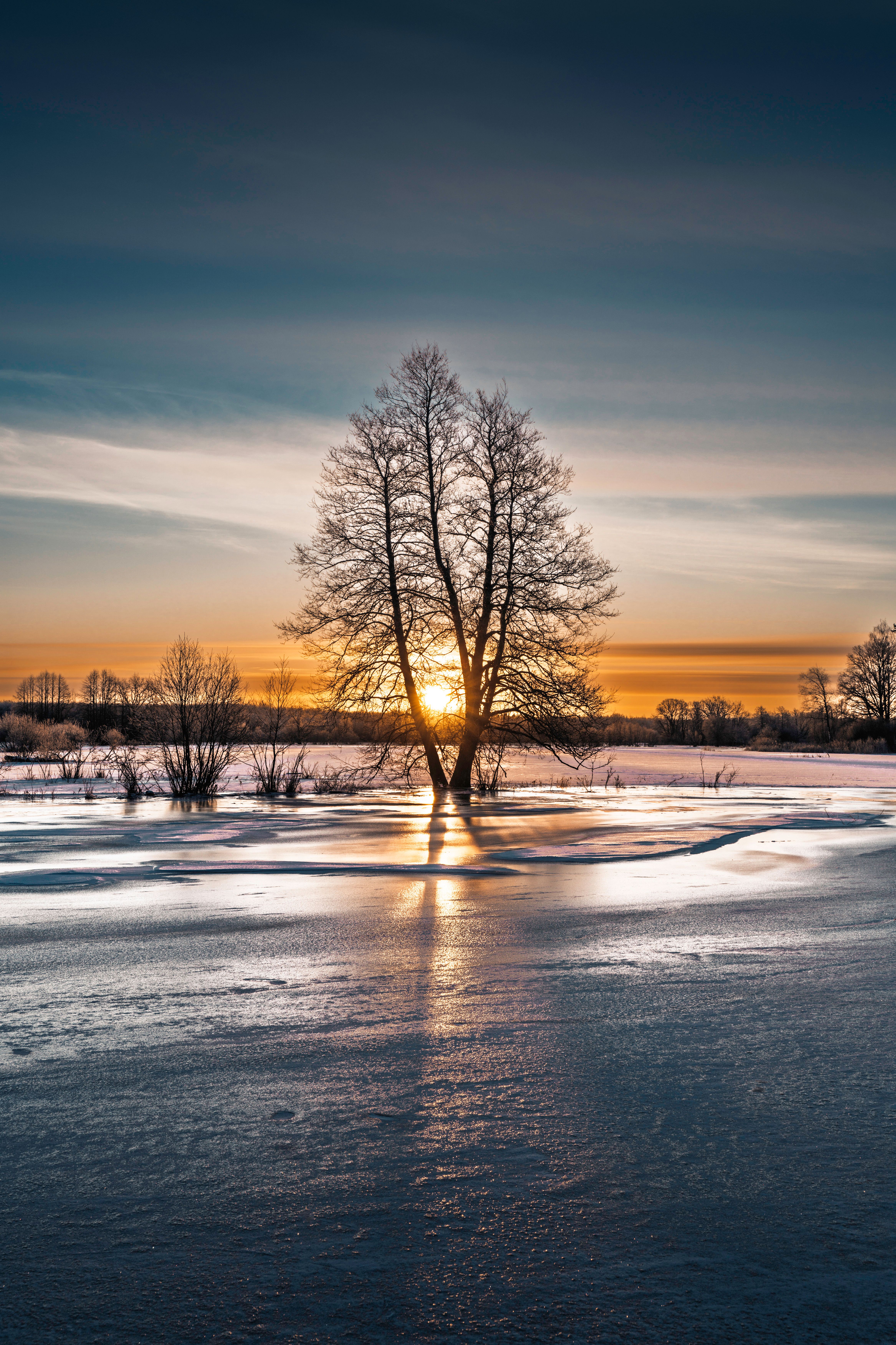 Serene Winter Sunrise Over Snowy Landscape · Free Stock Photo