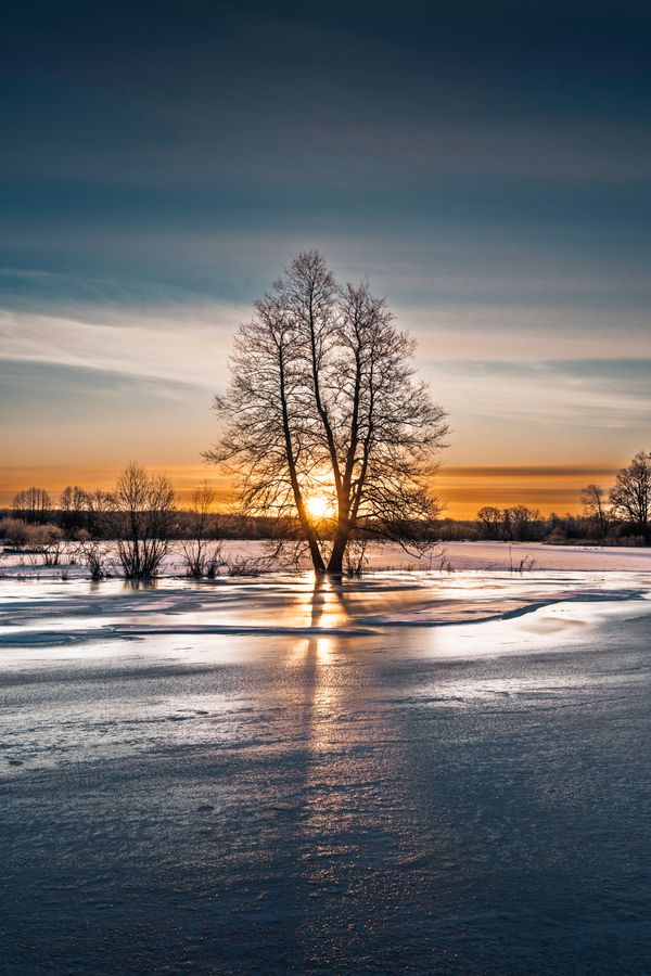 Serene Winter Sunrise Over Frozen Landscape · Free Stock Photo