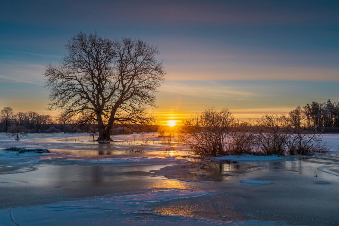 Serene Winter Sunrise Over Frozen Landscape · Free Stock Photo