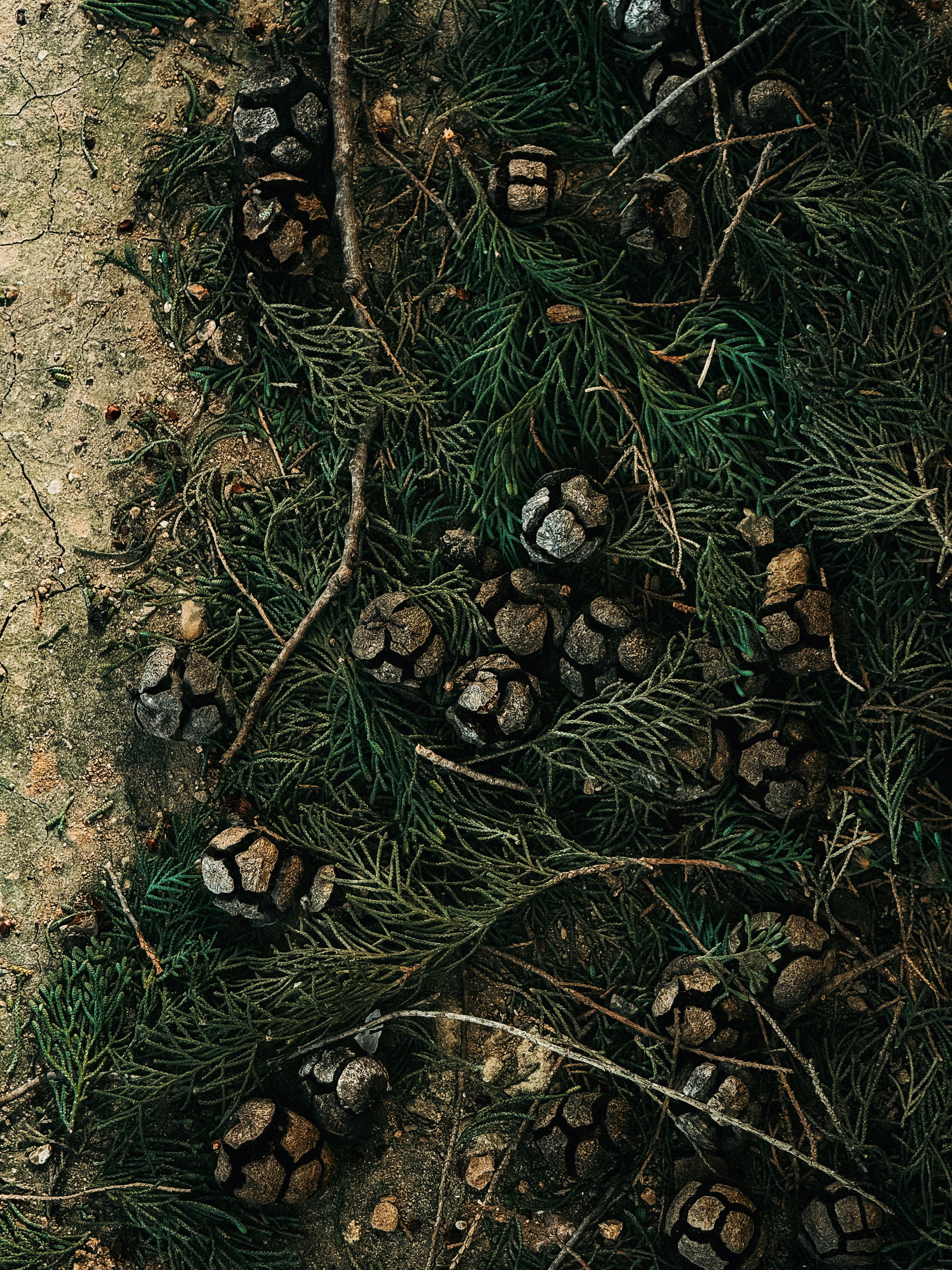 Δωρεάν στοκ φωτογραφιών με xativa, αγροτικός, αλέθω Φωτογραφία από στοκ φωτογραφιών