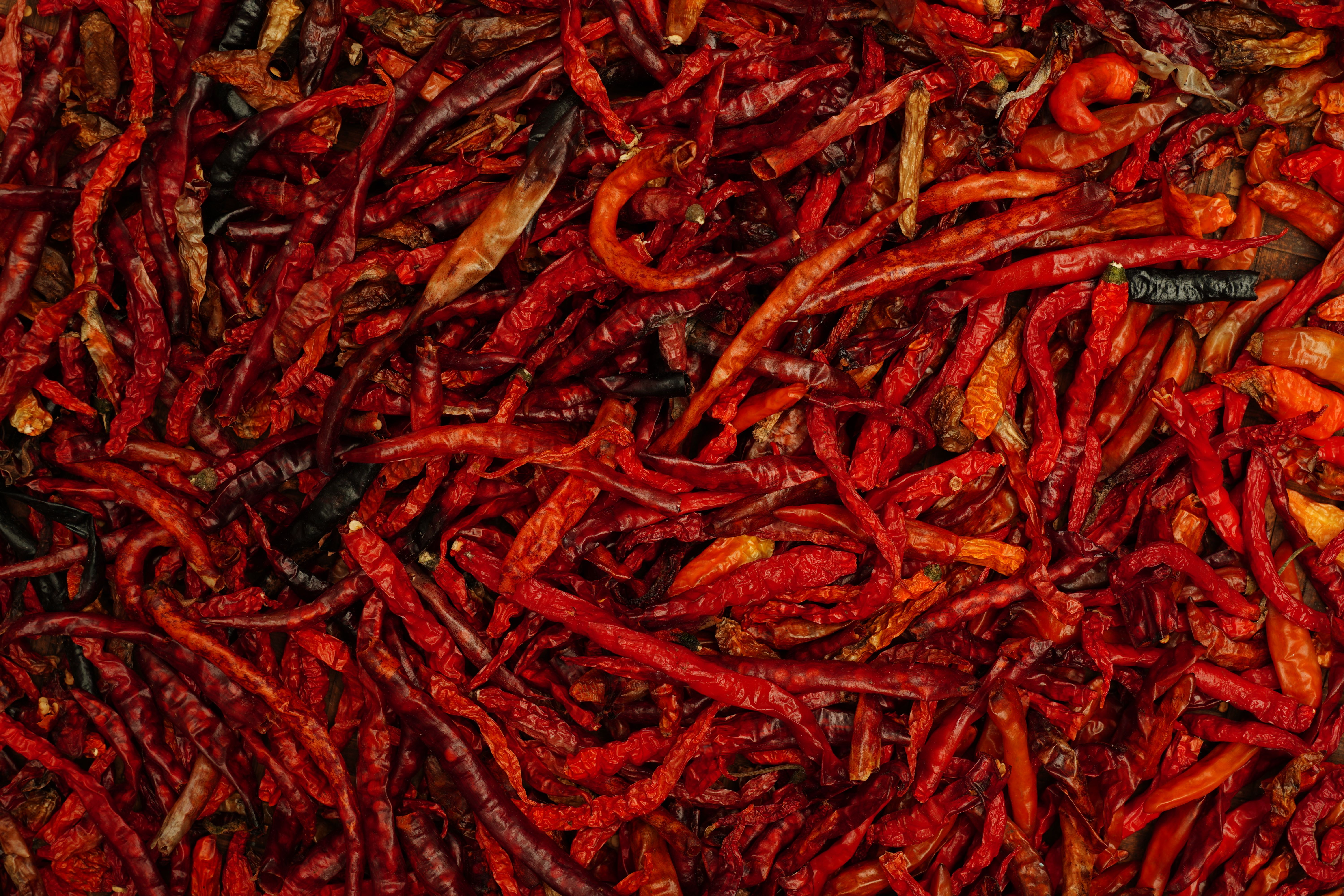 Detailed close-up of vibrant dried red chili peppers, showcasing texture.