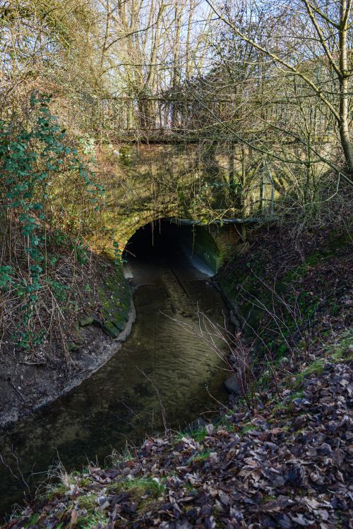 Free Peaceful natural scene of a tunnel overpass with a stream and lush trees in Coesfeld, Germany. Stock Photo
