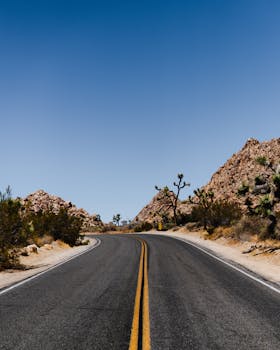 在蔚蓝的天空下，加利福尼亚州约书亚树国家公园的道路蜿蜒，风景如画