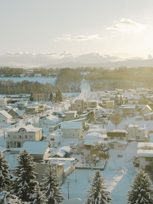 Free A tranquil aerial view of a snow-covered Hokkaido village under soft winter sunlight. Stock Photo