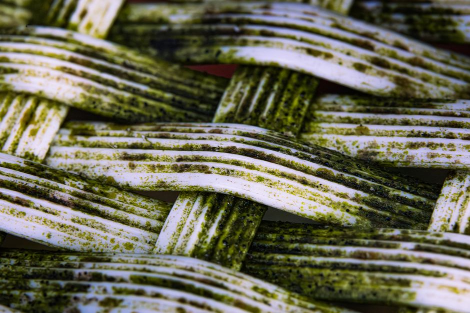 Detailed macro shot of a moss-covered woven texture displaying unique patterns and colors.