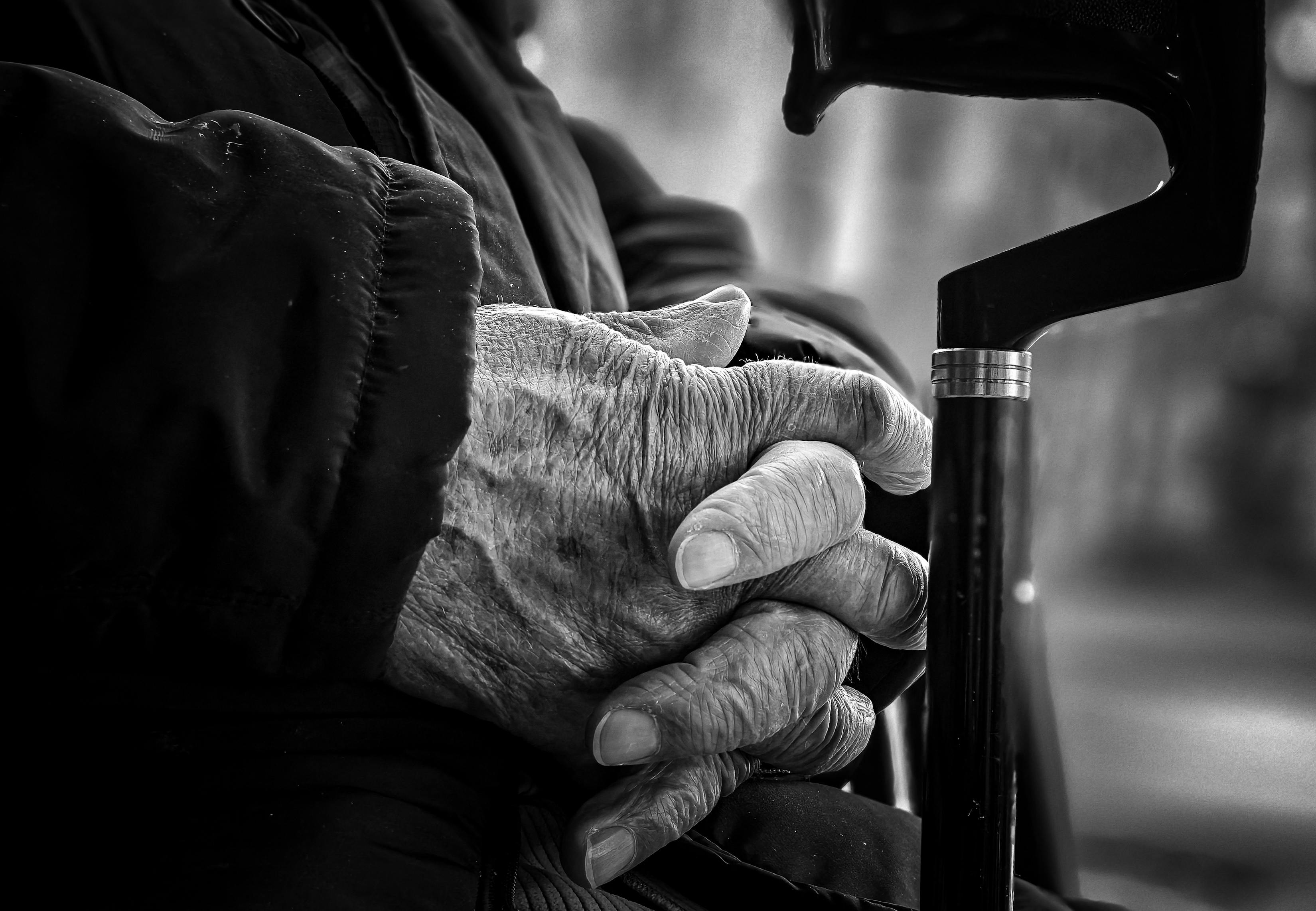 Gratis Immagine gratuita di adulto senior, africa, algeria Foto a disposizione