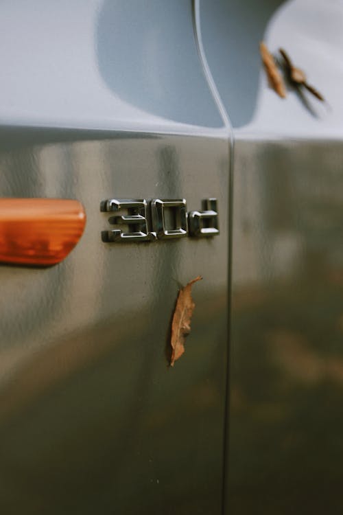 Silver and Orange Emblem On A Car
