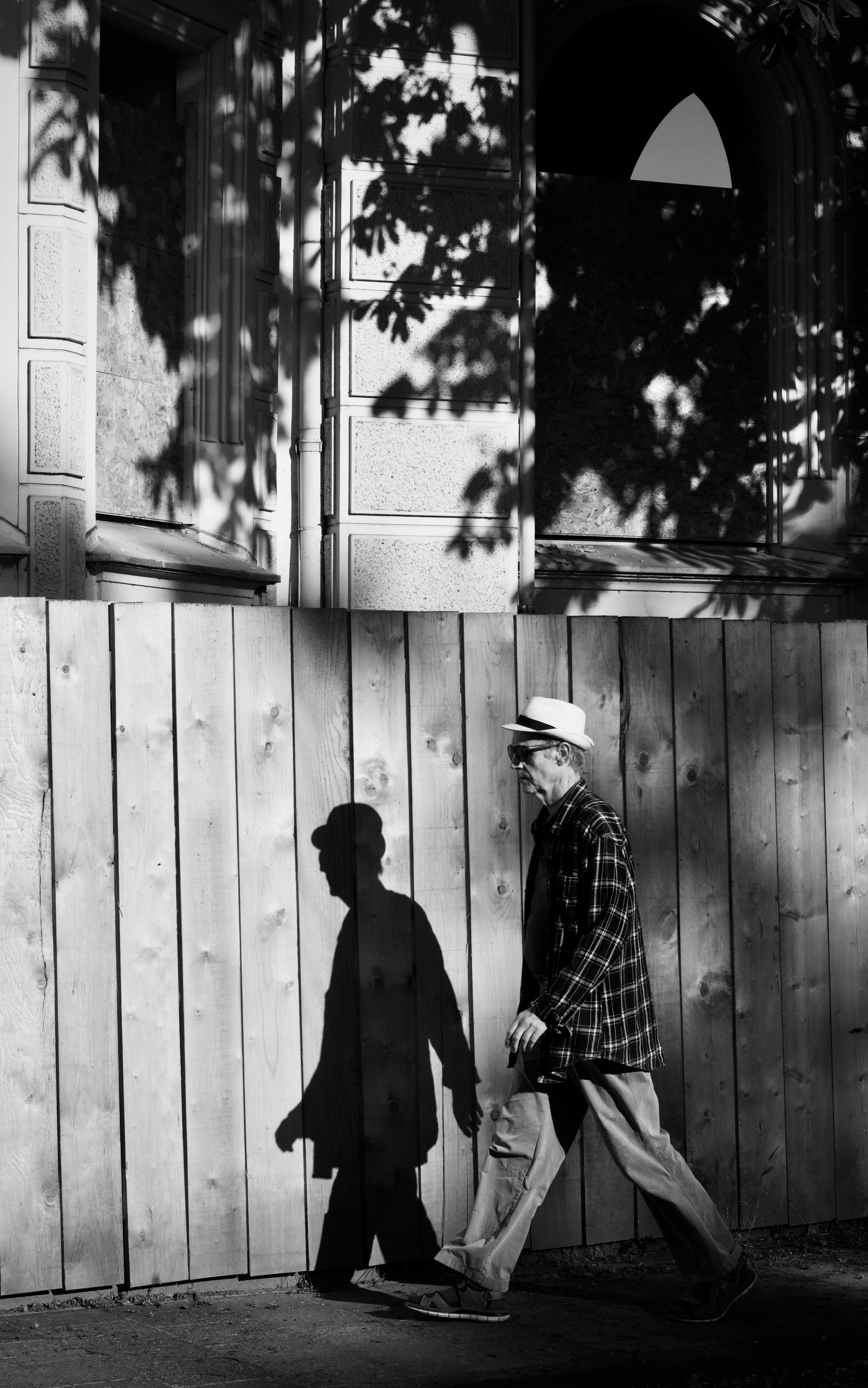 Zadarmo Čiernobiela fotografia muža kráčajúceho okolo dreveného plota a vrhajúceho tieň. Fotka z fotobanky