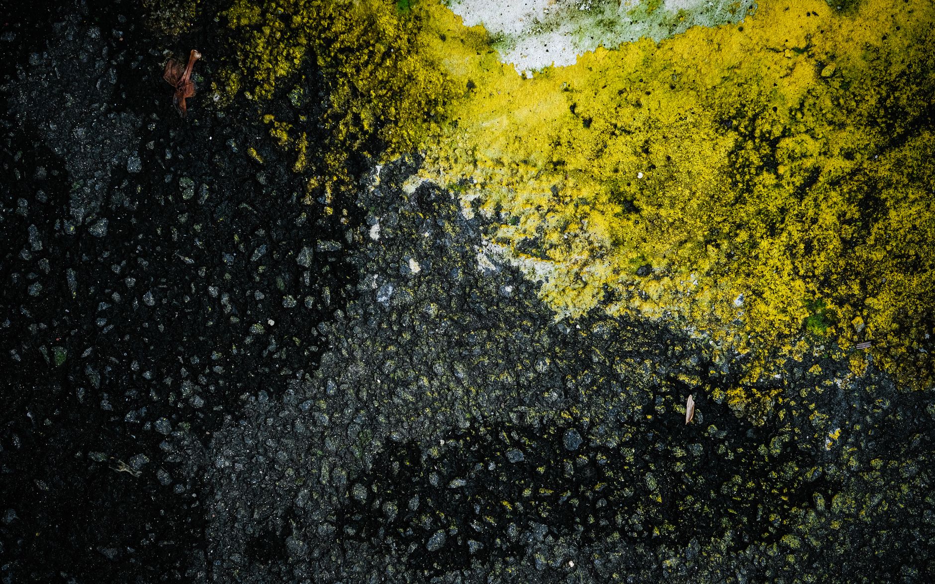 Construction Dust Barriers: How to Choose the Right System for Your Project Type