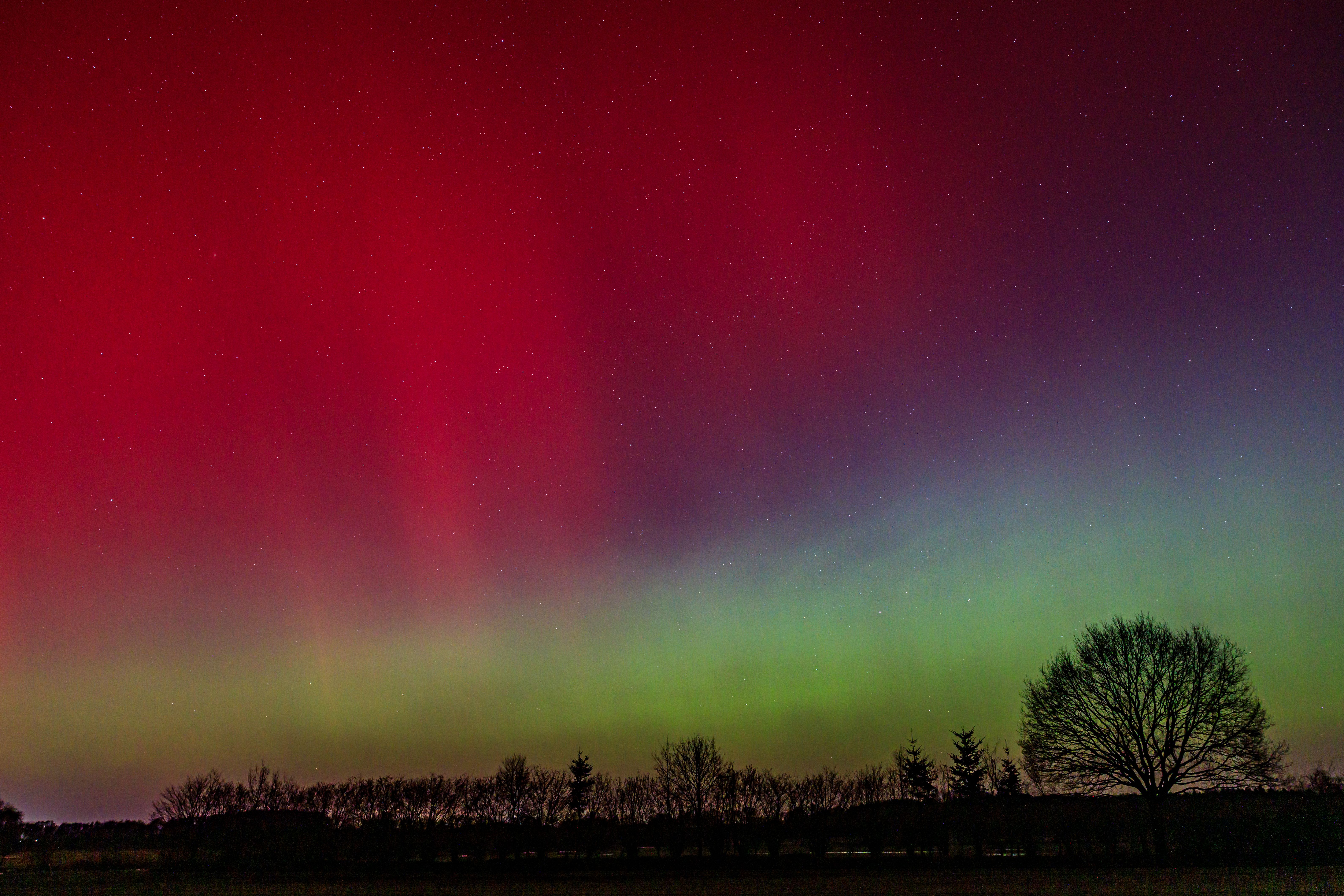 Brace for Impact: Urgent Geomagnetic Storm Forecast Could Disrupt Power and Communication Systems!
