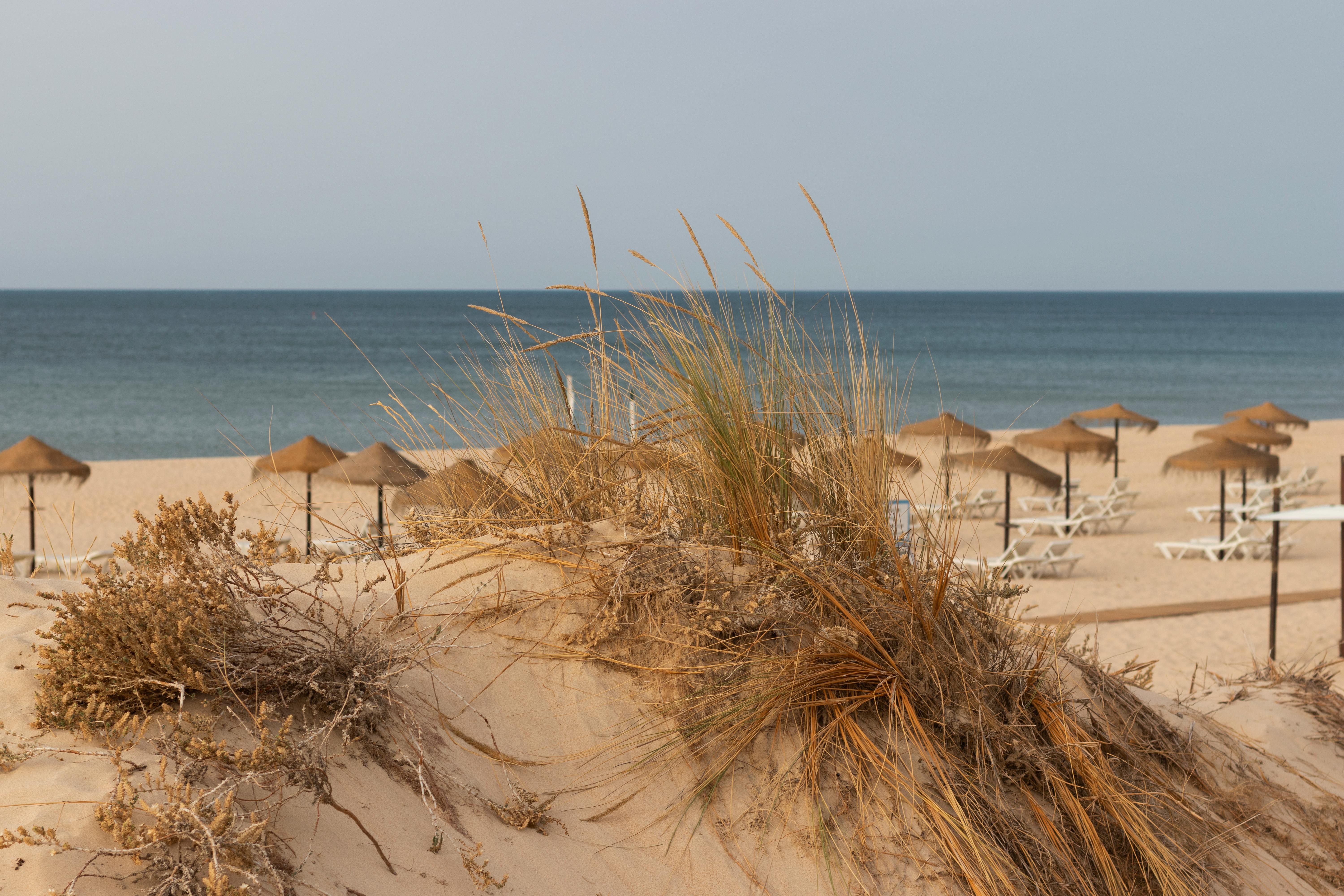 Monte Gordo beach scene with straw parasols, sandy dunes, and tranquil sea view.