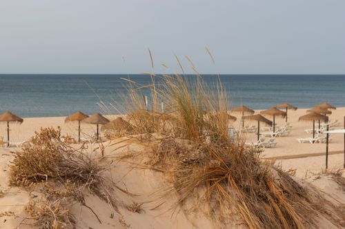 Free Monte Gordo beach scene with straw parasols, sandy dunes, and tranquil sea view. Stock Photo