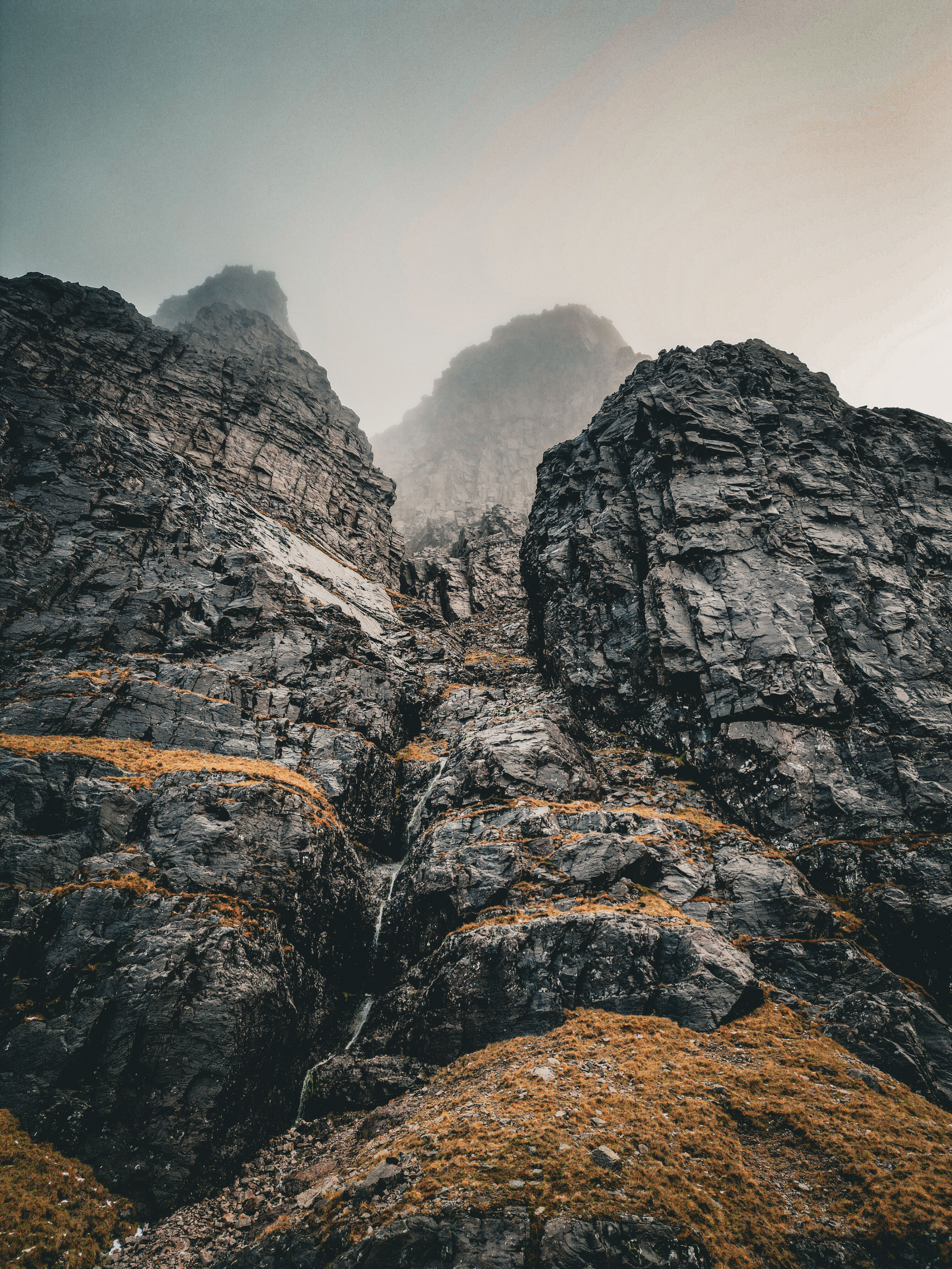 Cinematic wilderness in warm light, Field Photography on Pexels