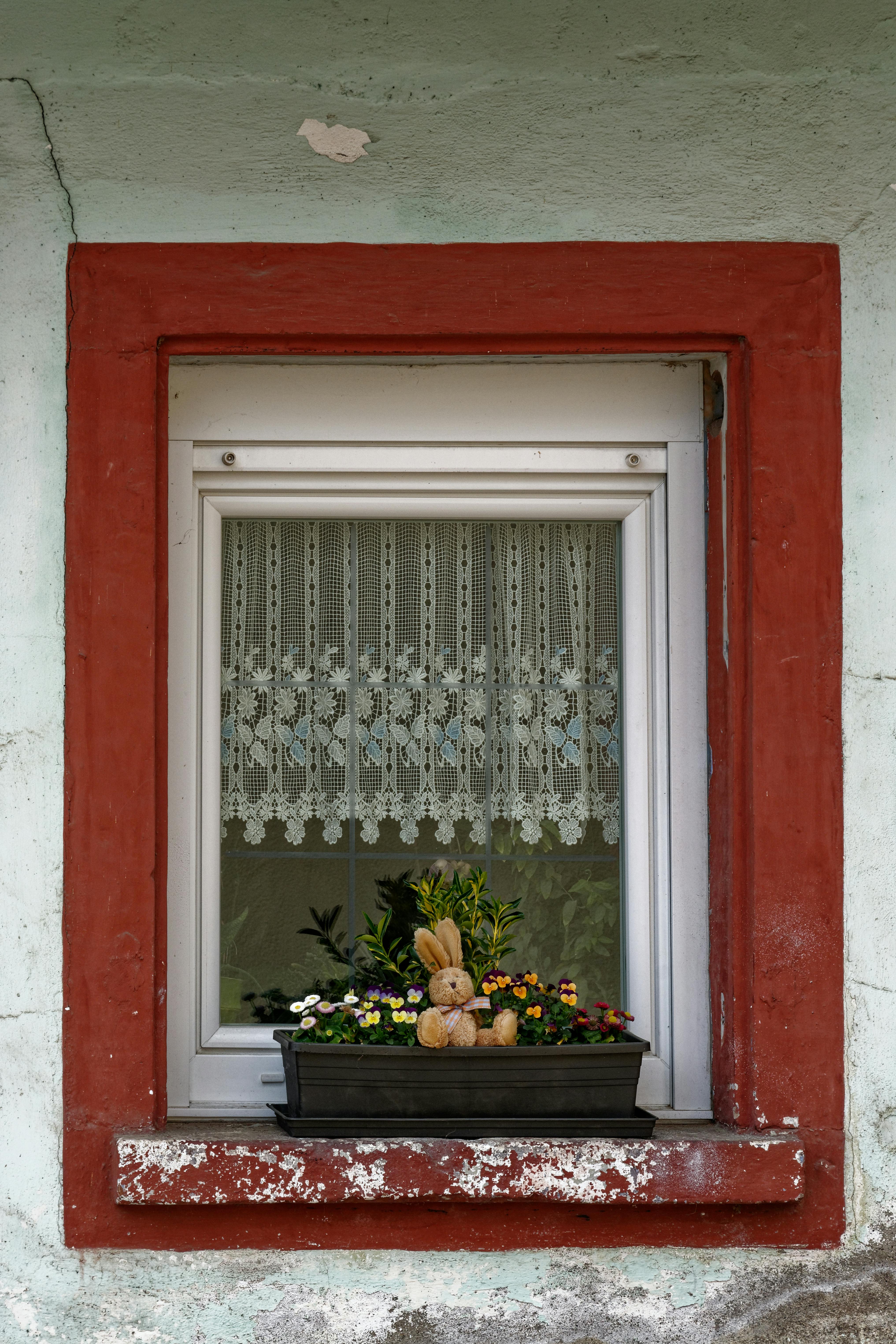 Gratis stockfoto met afgebroken verf, architectuur detail, bloemen Stockfoto