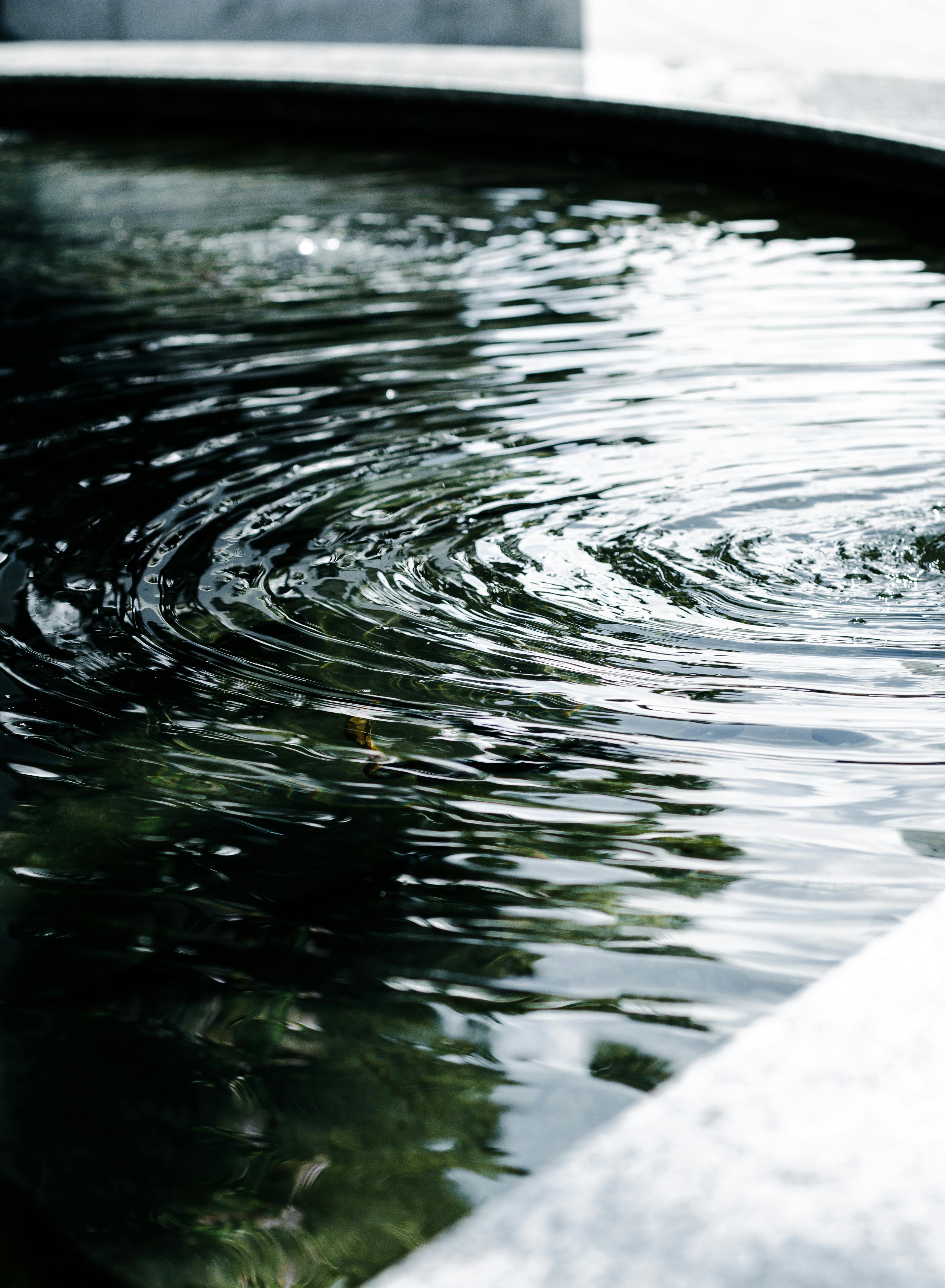 Miễn phí Ao hồ tĩnh lặng với những gợn sóng tròn phản chiếu ánh sáng tự nhiên, tạo nên một khung cảnh thanh bình. Ảnh lưu trữ