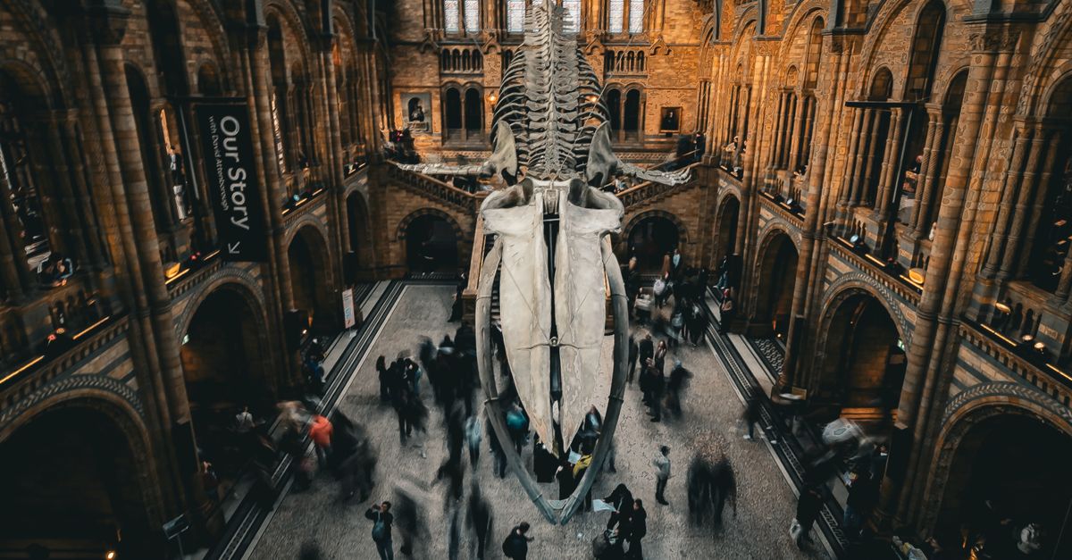 Los 10 museos más visitados del mundo desde su fundación Los 10 museos más visitados del mundo desde su fundación
