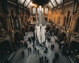 Natural History Museum Interior with Whale Skeleton