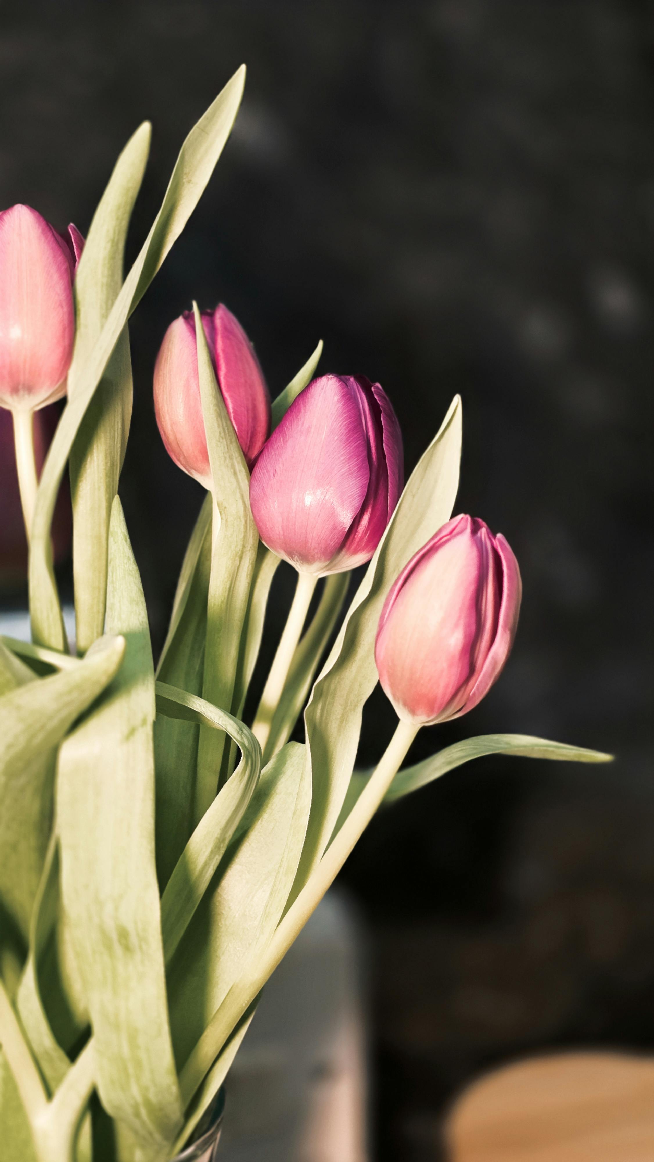 Δωρεάν στοκ φωτογραφιών με @εξωτερικου χωρου, floral ρύθμιση, macro Φωτογραφία από στοκ φωτογραφιών