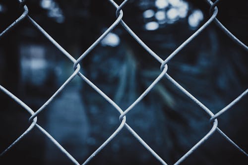 Free Close-up Photo of Chain link Fence Stock Photo