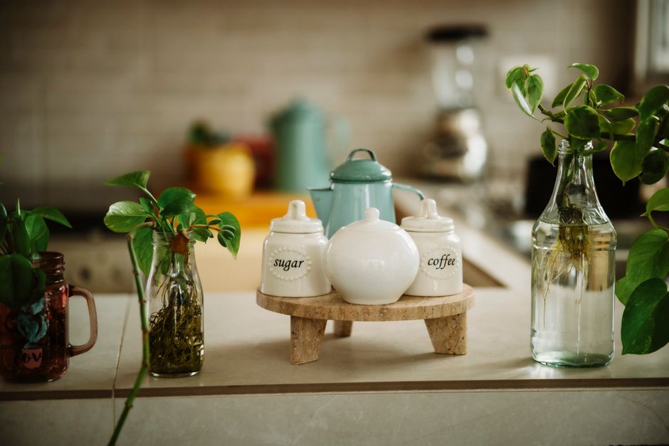 Everything You Need to Know About Buying the Perfect Plant Stand in Pune at Hanamori Shop Plant stands in various materials on a home shelf in Pune