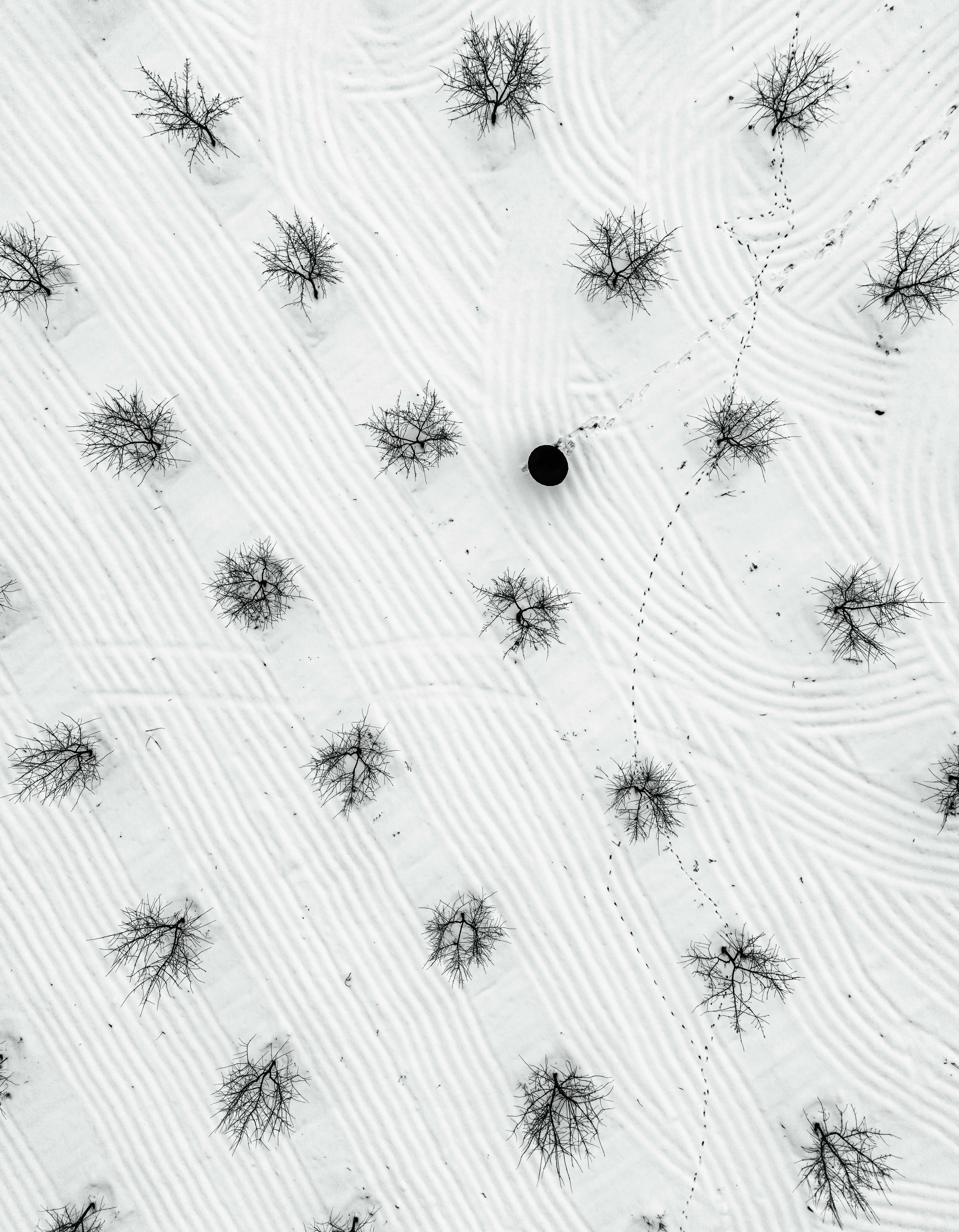 Miễn phí Ảnh chụp từ trên cao cho thấy những hàng cây tạo thành hình hoa văn trên cánh đồng phủ đầy tuyết ở Adıyaman, Thổ Nhĩ Kỳ. Ảnh lưu trữ