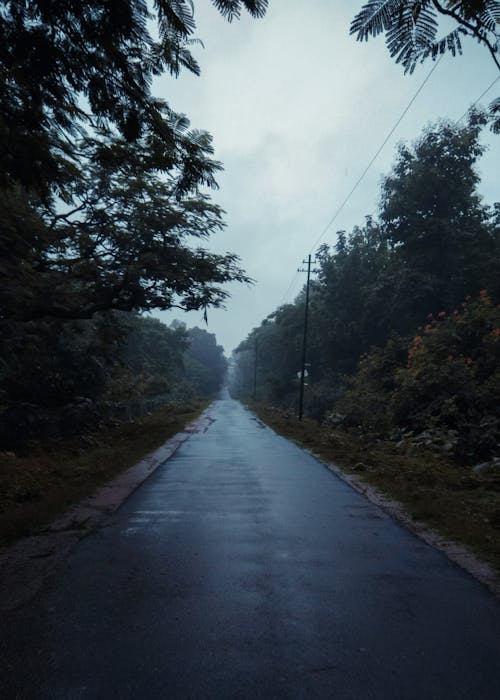 Free stock photo of empty road, foggy morning, rainy day