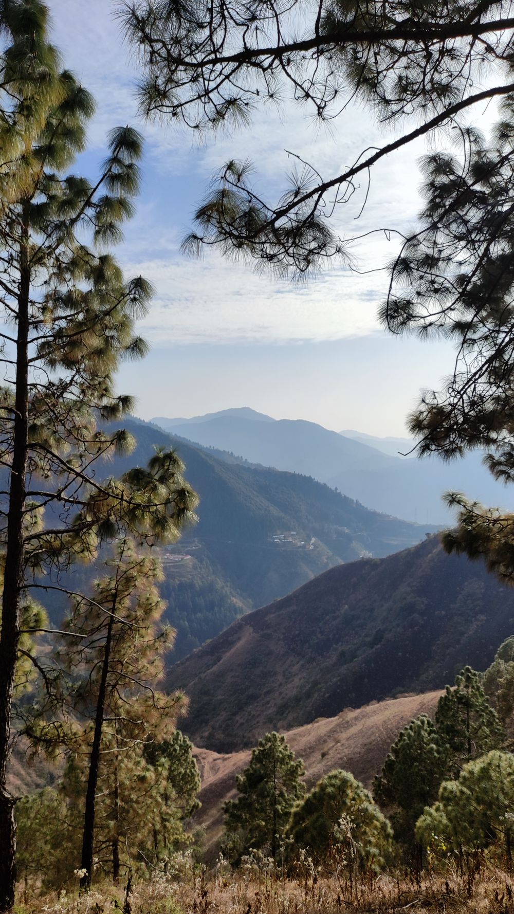 Chakrata–Tiger Falls — Uttarakhand weekend trip itinerary