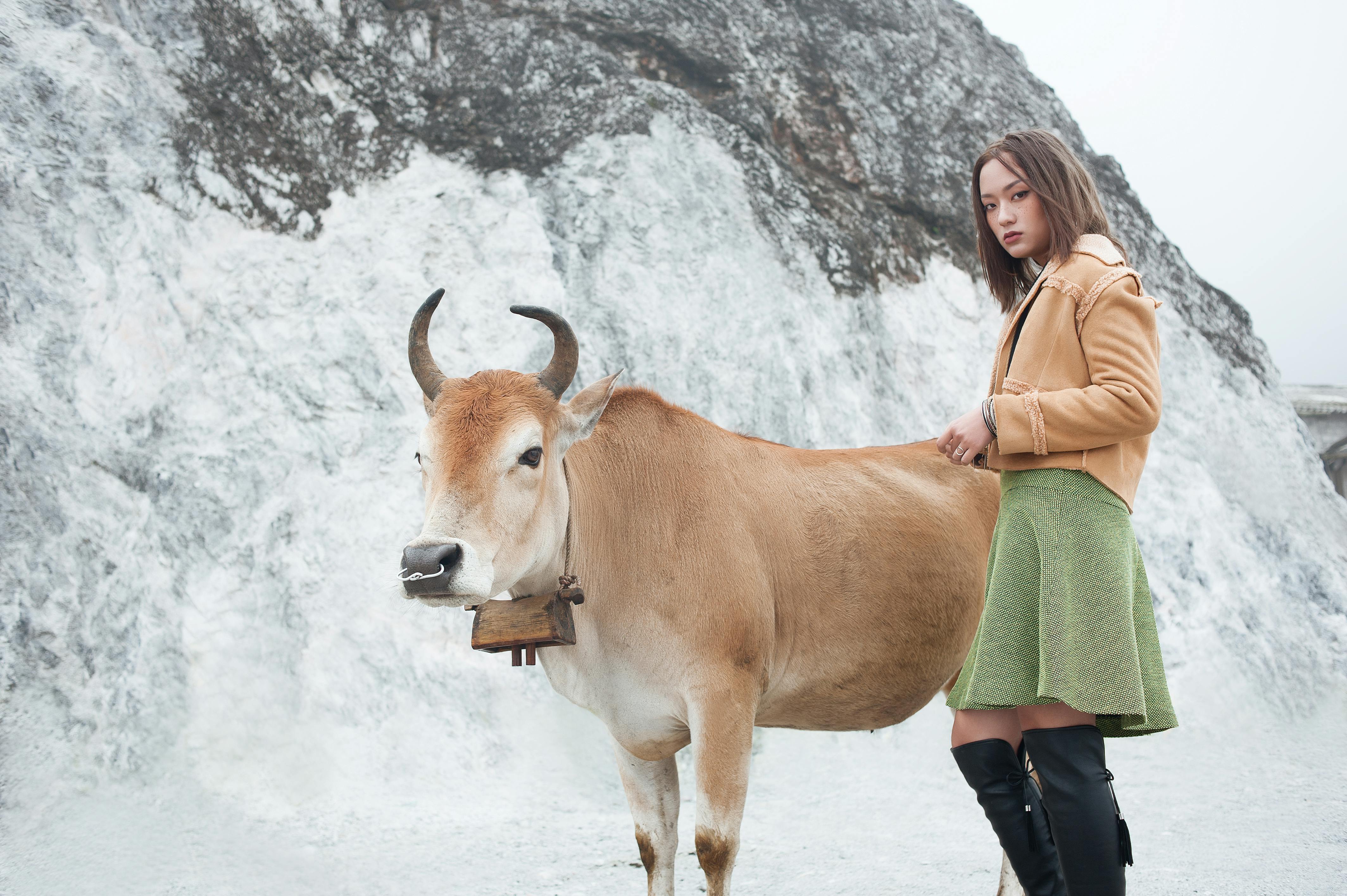 oficial: potro vuelve quirofano